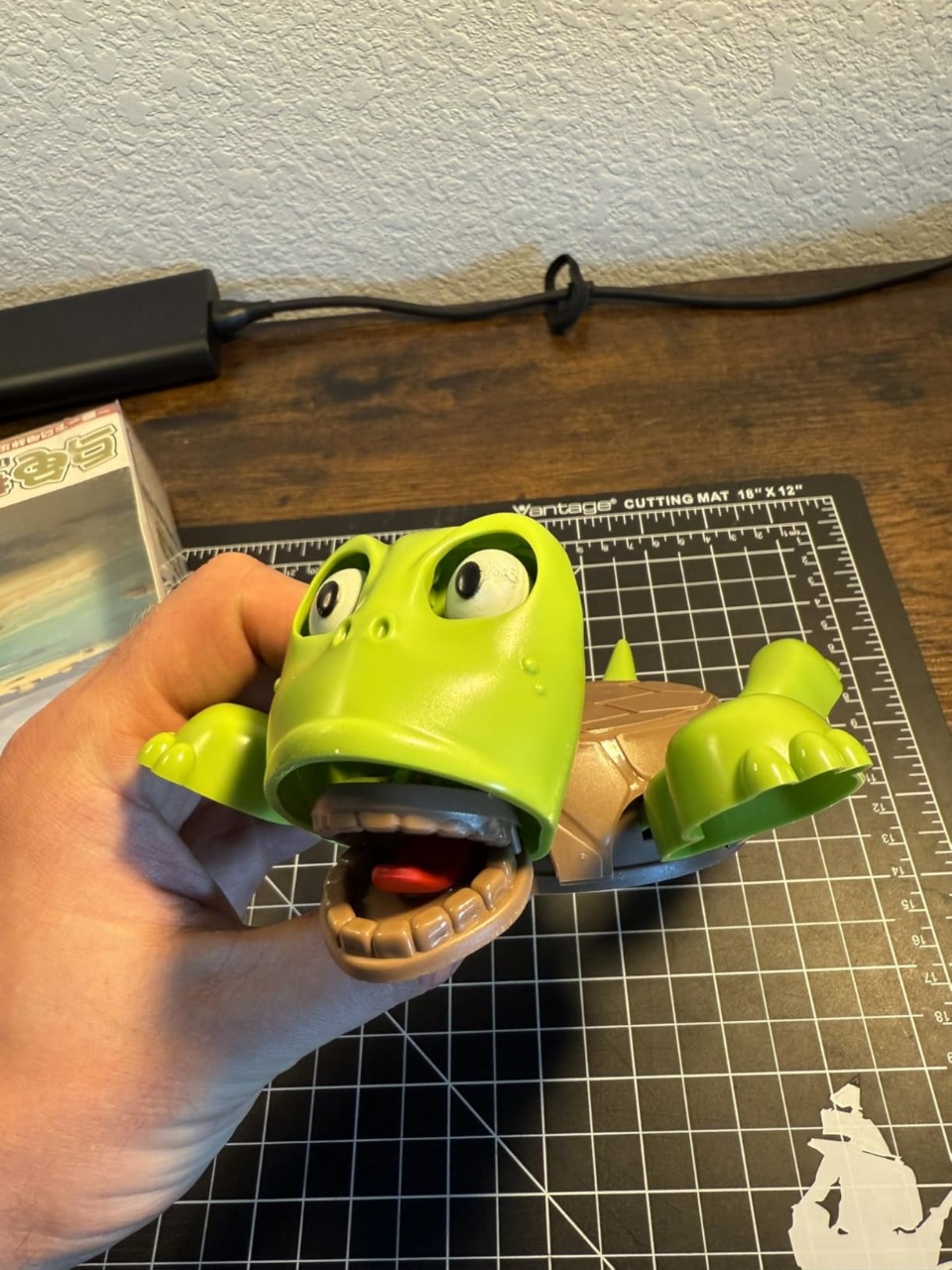 Foto de Daniela G. con su TurtleLift en la oficina