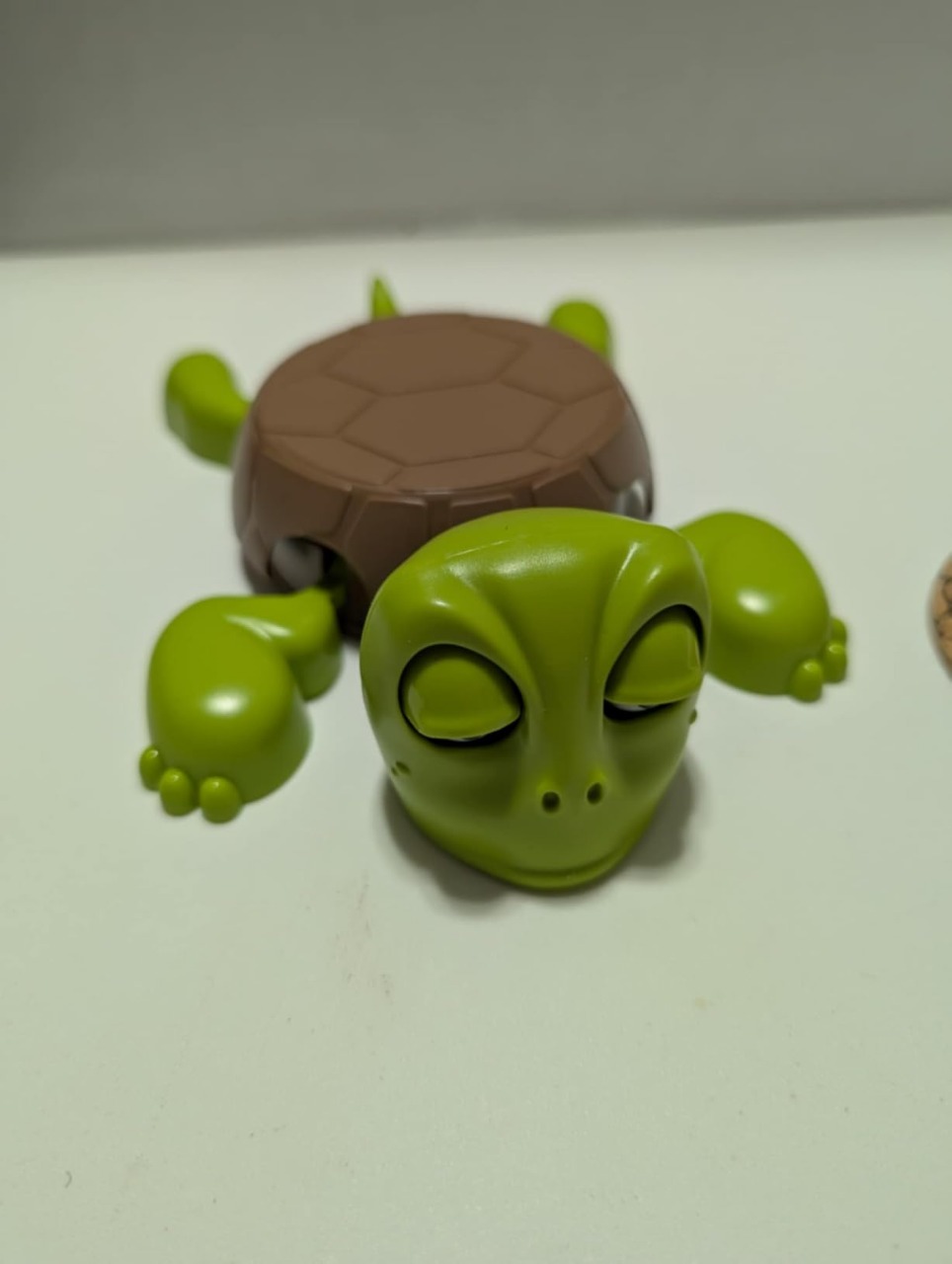 Foto de la sala de Carolina P. con el TurtleLift