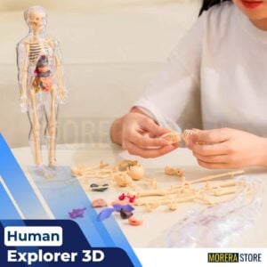 Human Explorer 3D