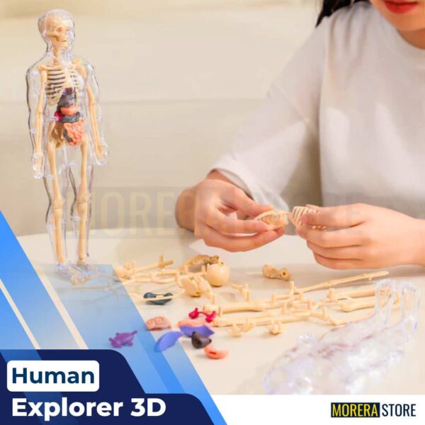 Human Explorer 3D